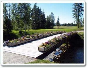 HomePage_Image